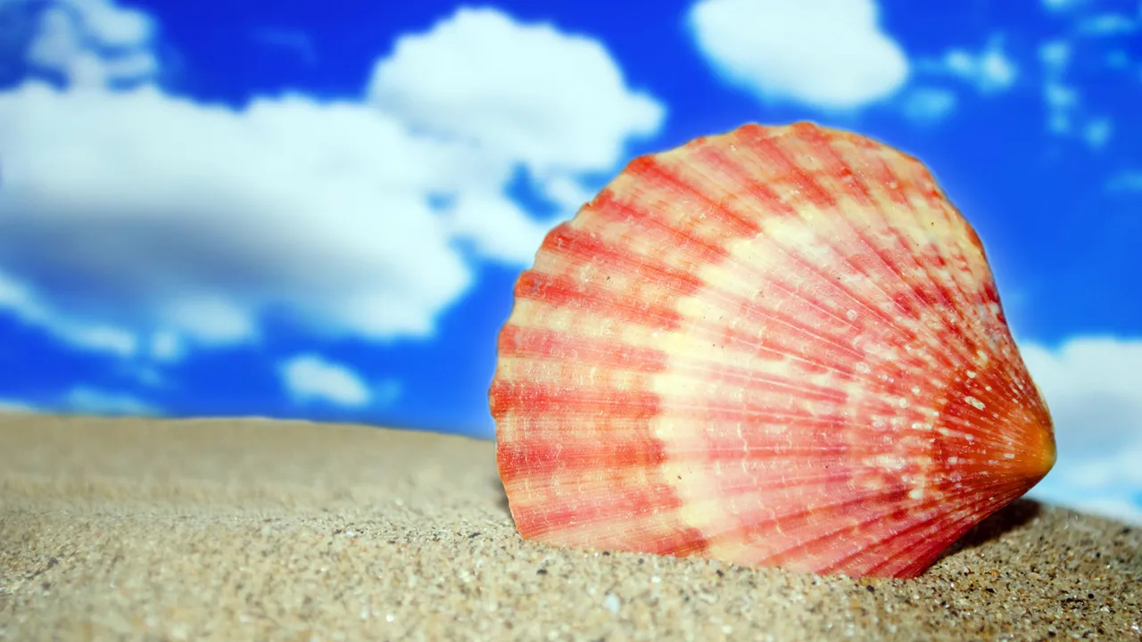 blue bowl of black bean beef tortilla soup on a board with cilantro and shredded cheese in background
