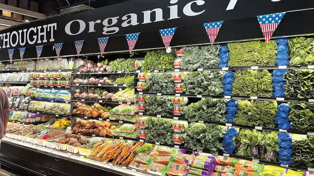 Two mint chocolate milkshakes with whipped cream and green sprinkles.